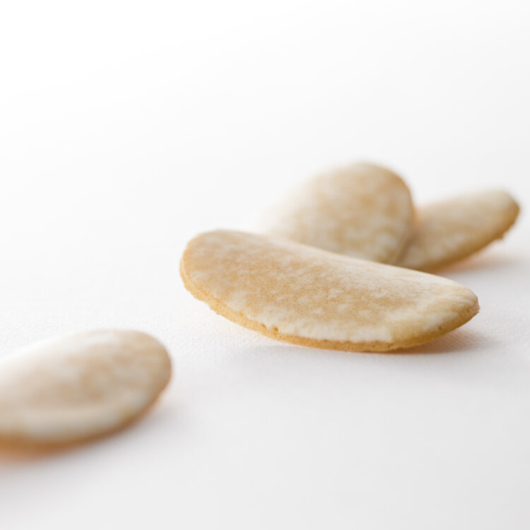 柴舟10枚（袋入） イメージ