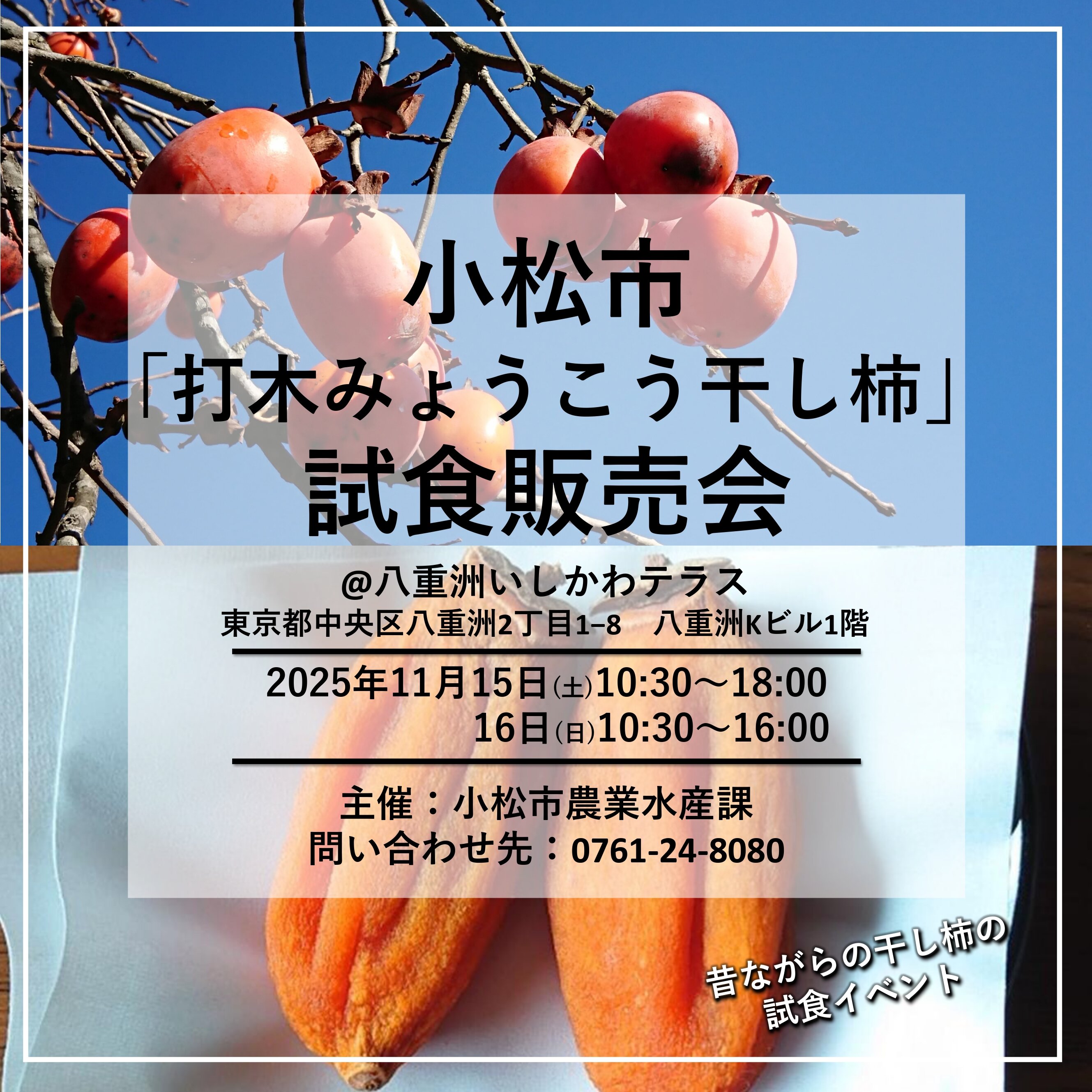 小松市「打木みょうこう干し柿」試食販売会
