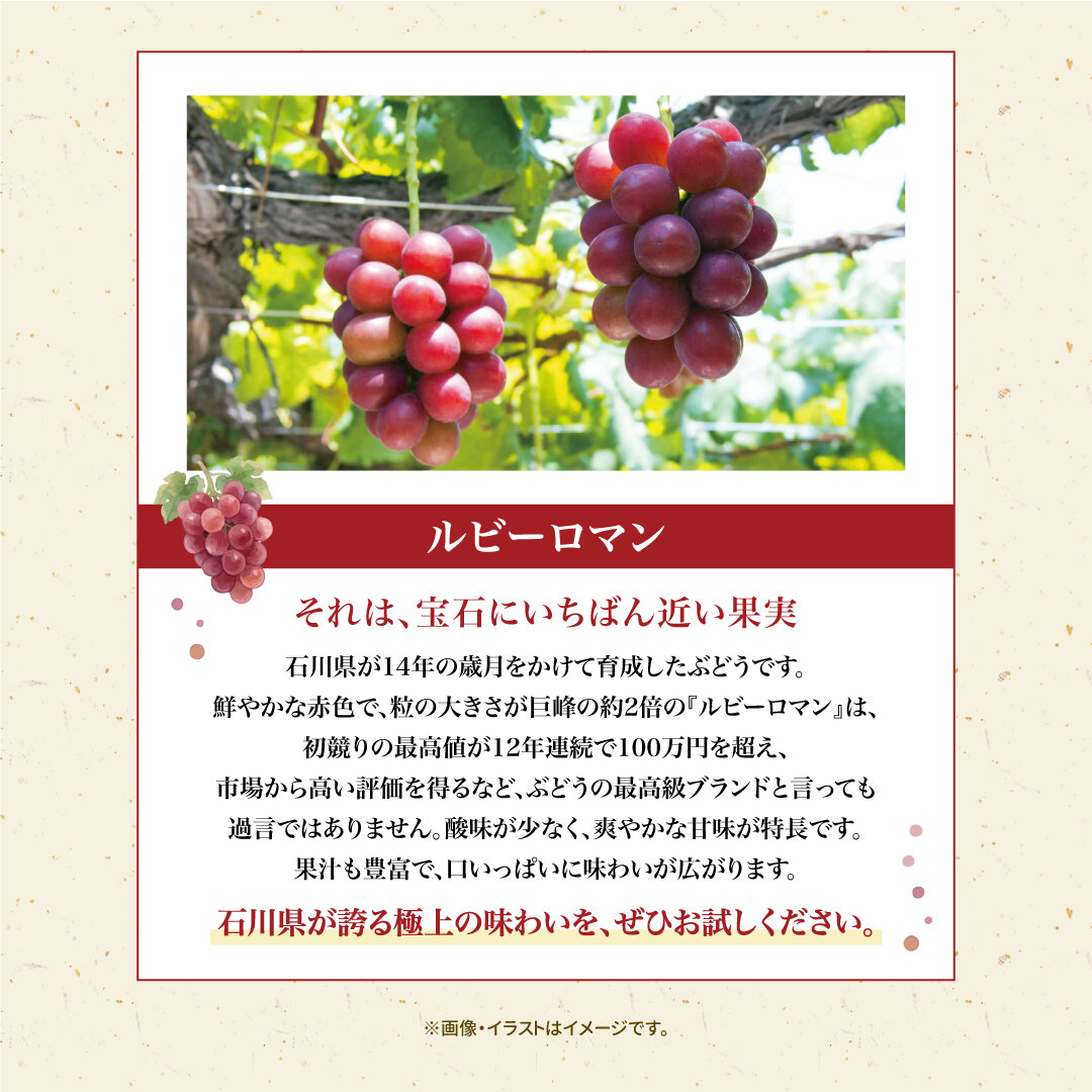 260821_いしかわテラス_ルビーロマンSNS用画像_3枚目_02.jpg