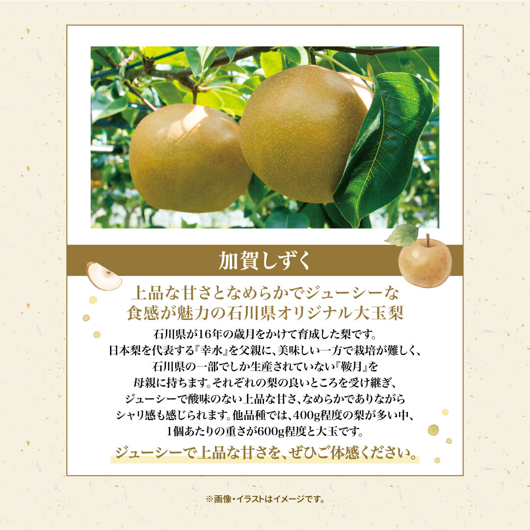 260821_いしかわテラス_ルビーロマンSNS用画像_4枚目_02.jpg